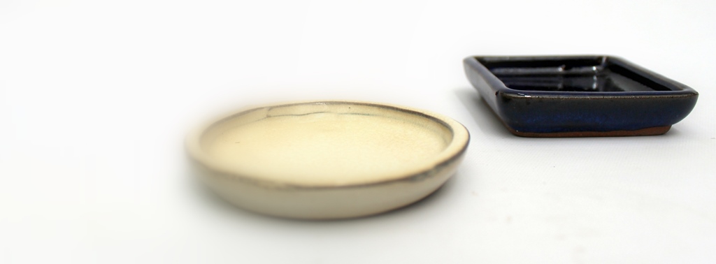 bonsai talak ala valo bonsai tal alatetek a marczika bonsai studio kinalatabol